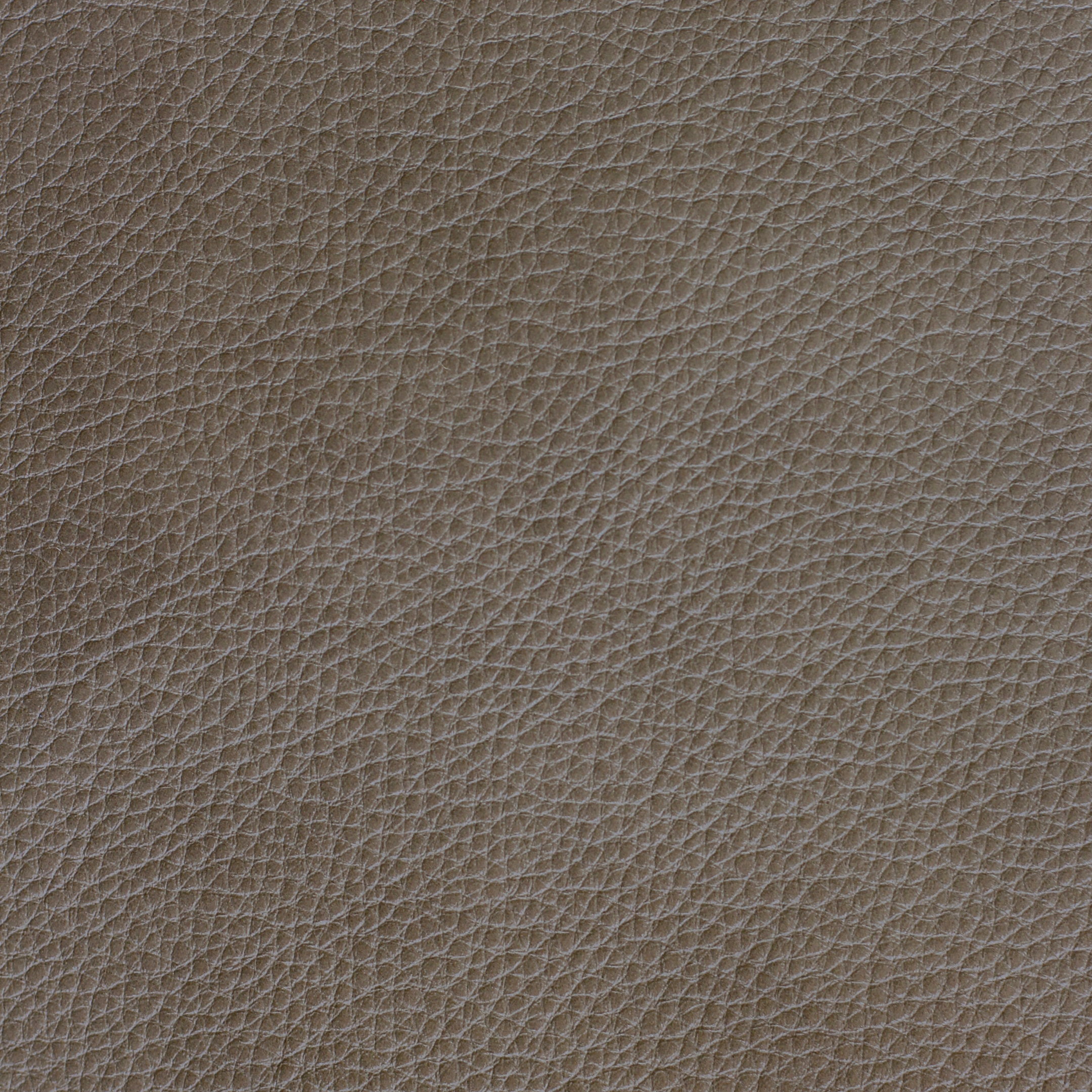 Tattle Tail - Weasel