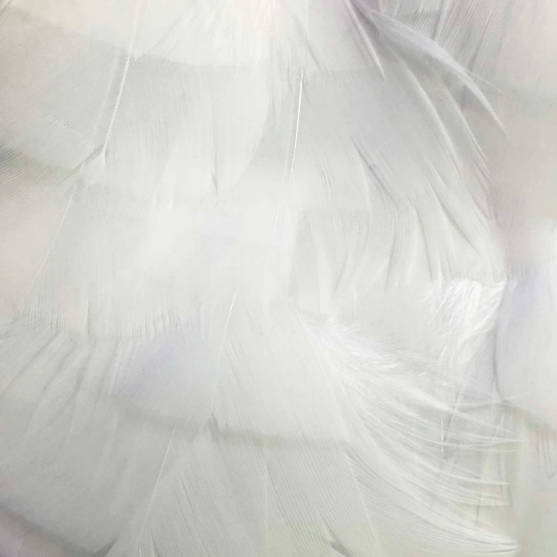 Lampshade, Feathered - White Duck Feather