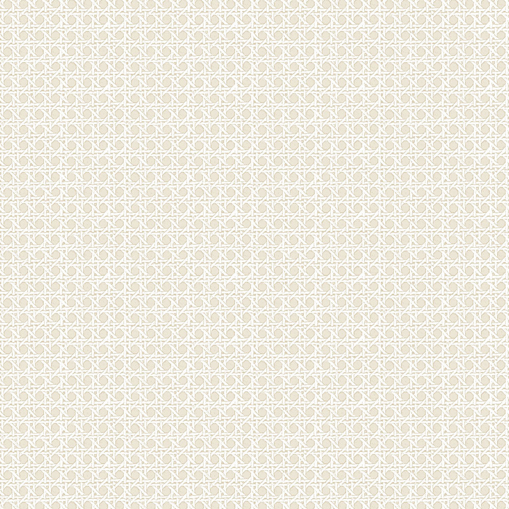 Rattan Grasscloth - Ecru