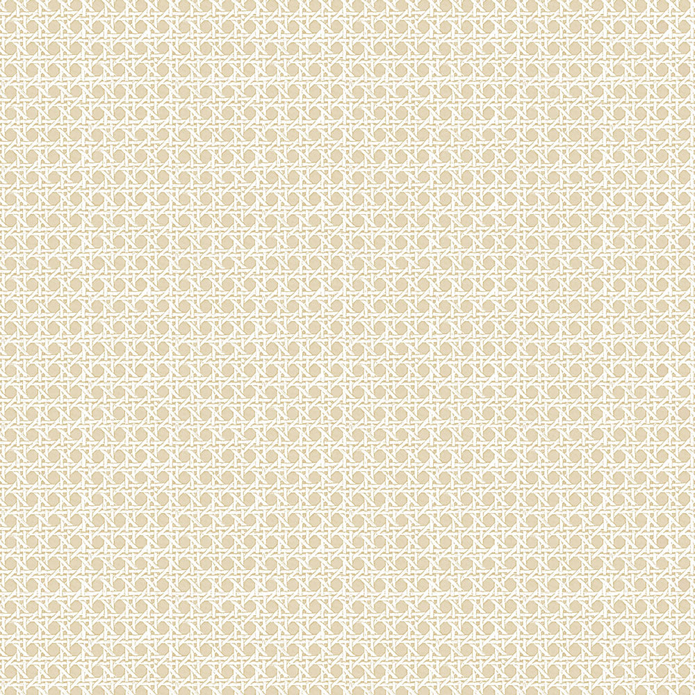 Rattan Grasscloth - Biscuit