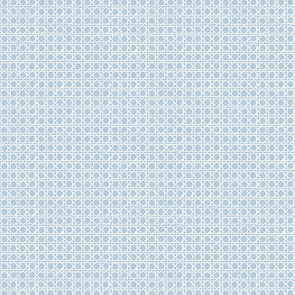 Rattan Grasscloth - Blue