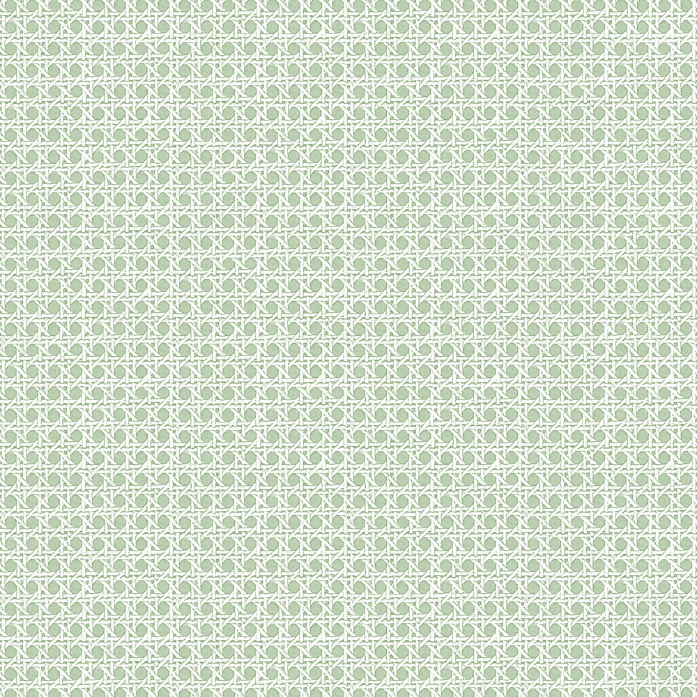 Rattan Grasscloth - Sage