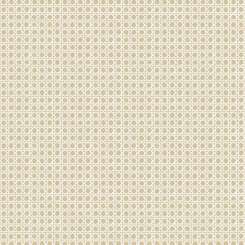 Rattan Grasscloth - Bronze