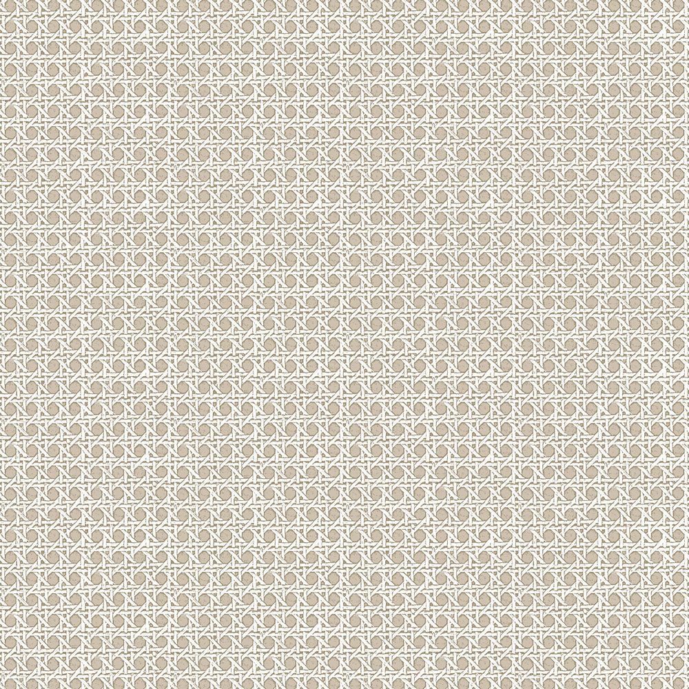 Rattan Grasscloth - Taupe