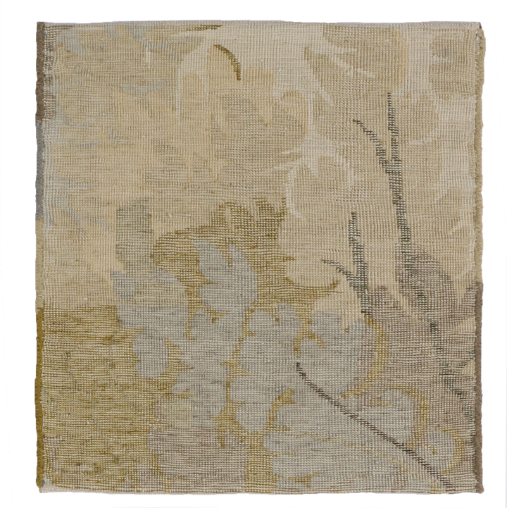 Arles WS 5