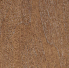 Walnut - Jupiter's Walnut