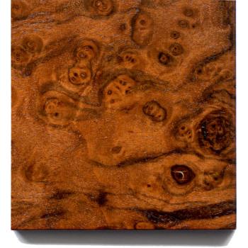 Limited - No. 905 American Walnut Burl