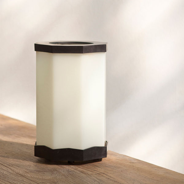 Cicada Lanterns Electrified