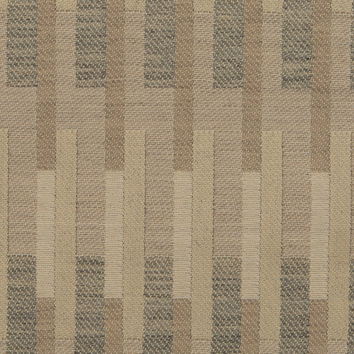 Moderna Museet - Cardamom