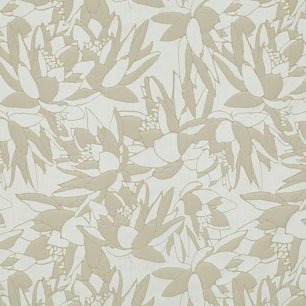 Delos - Rice Paper