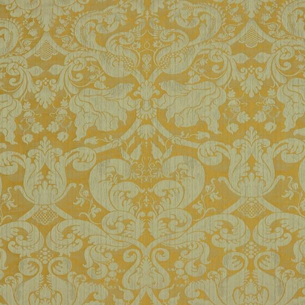 Choisya - Golden Apricot