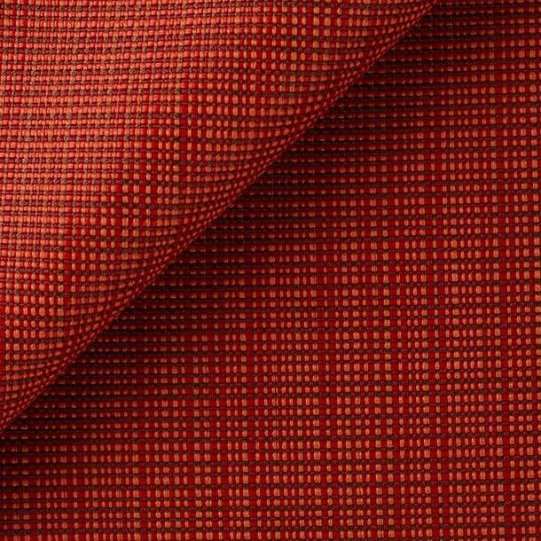 Celestia - Persimmon