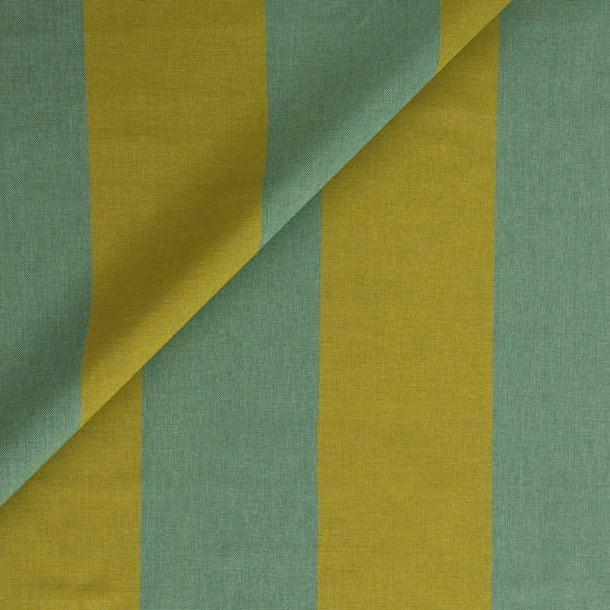 Big Stripe - Rainforest