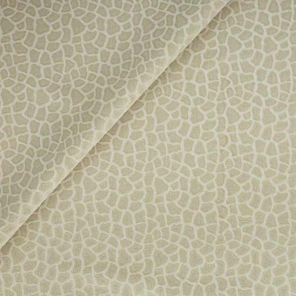 Wild Thing - Eggshell