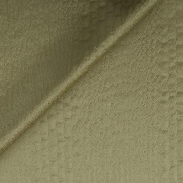 Crocodile - Pale Gold