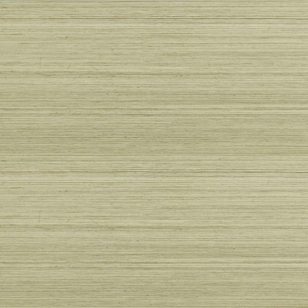 Strié Sisal - Sahara