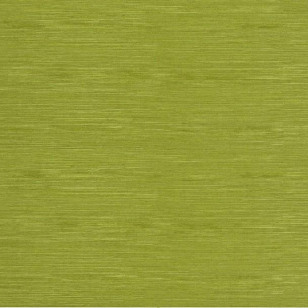 Surat Sisal - Lime