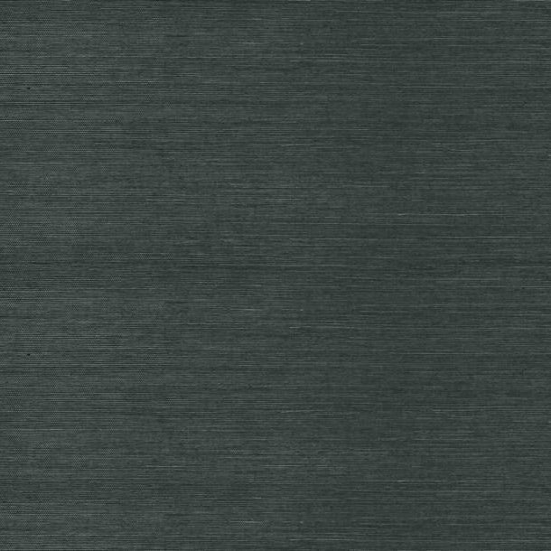 Surat Sisal - Petrol