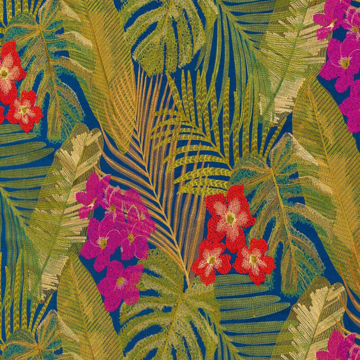 Moorea - Tropical Forest