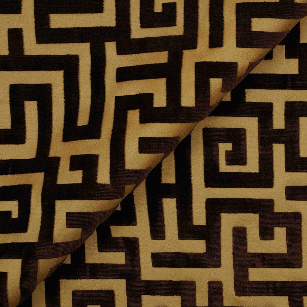 Apollon - Golden Walnut