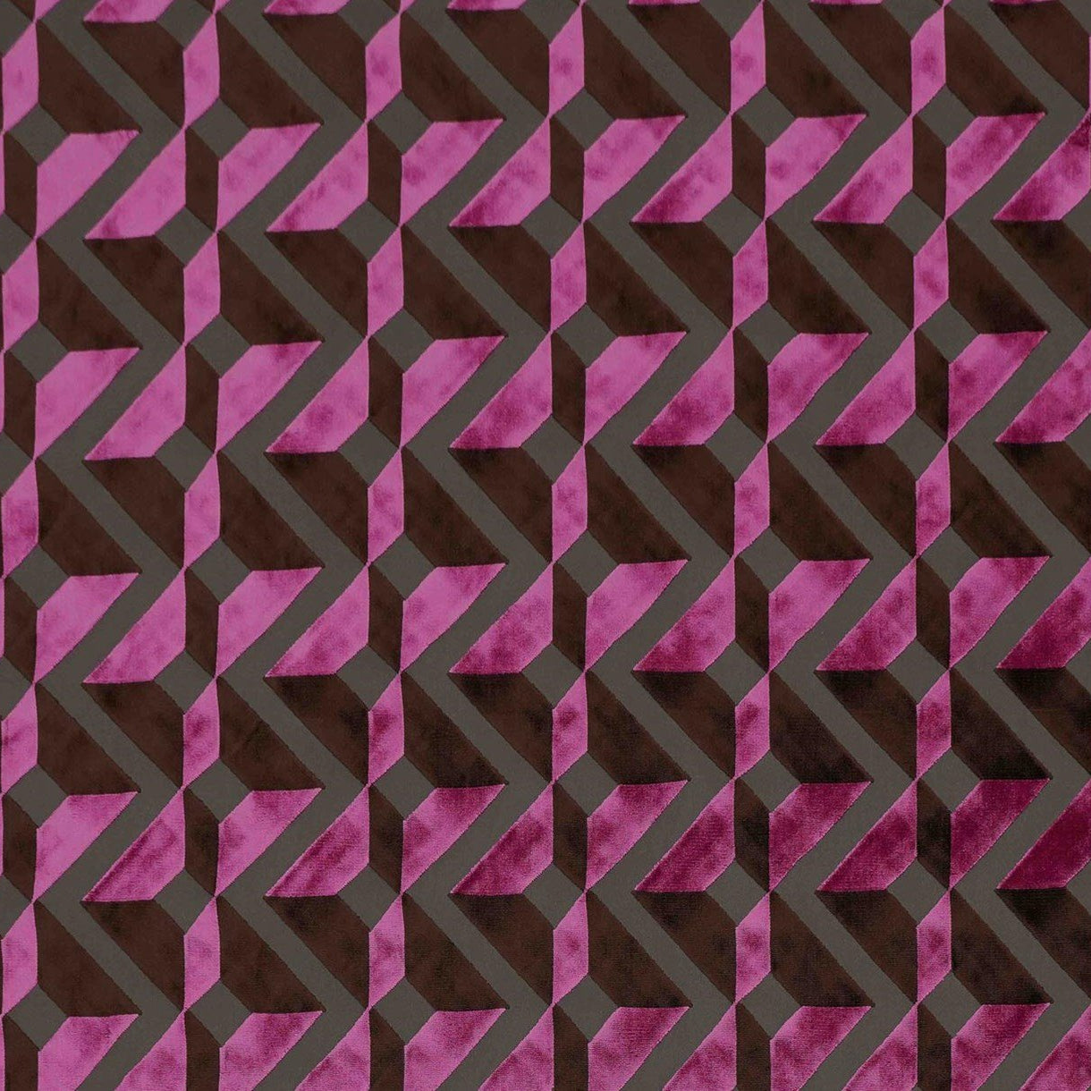 Syncopation - Black Raspberry