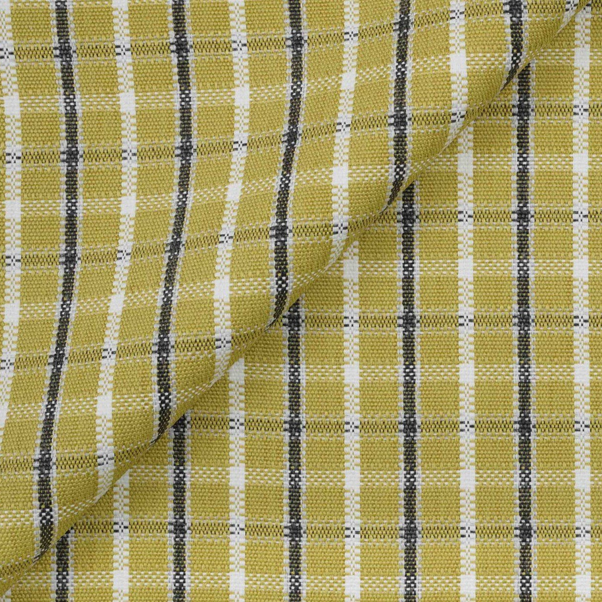 Samoa Plaid - Citrus