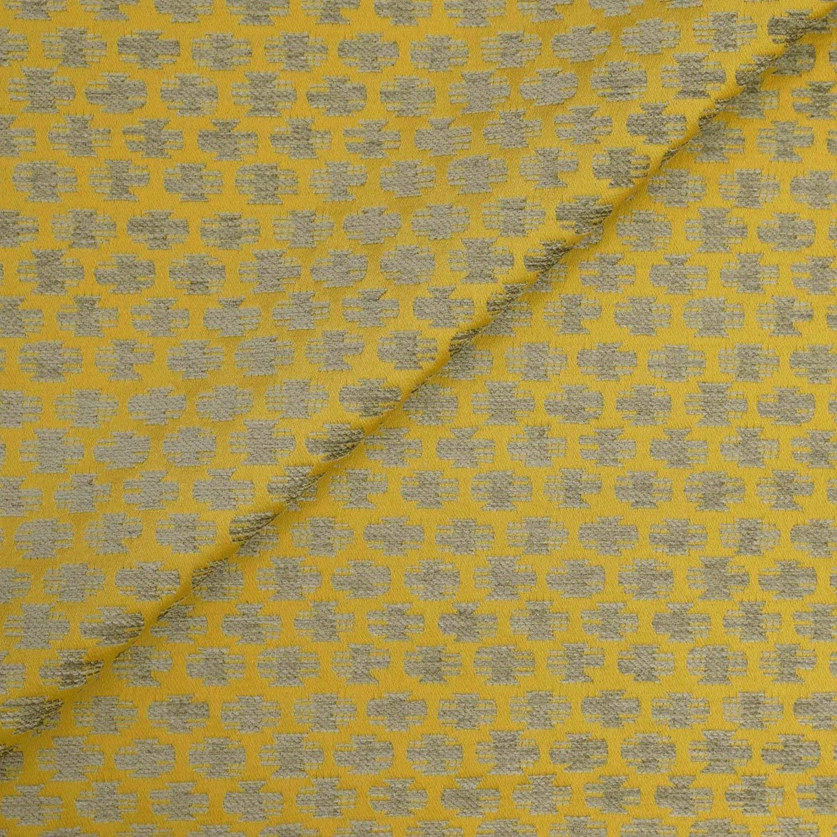 Chiang Dao - Honeybee