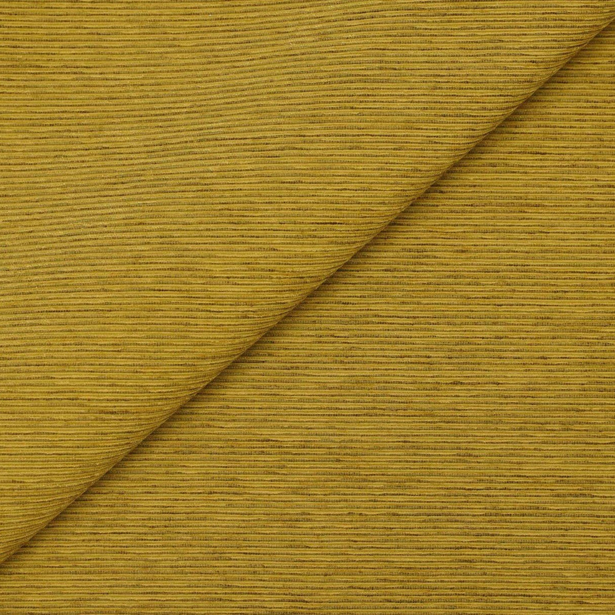 Ridgeline - Gold Coin