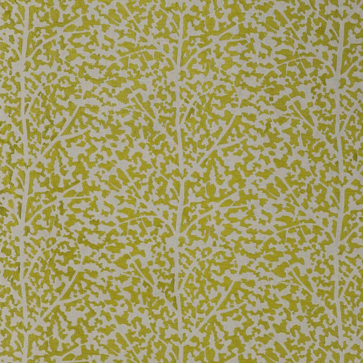 Mulberry Tree - Vert