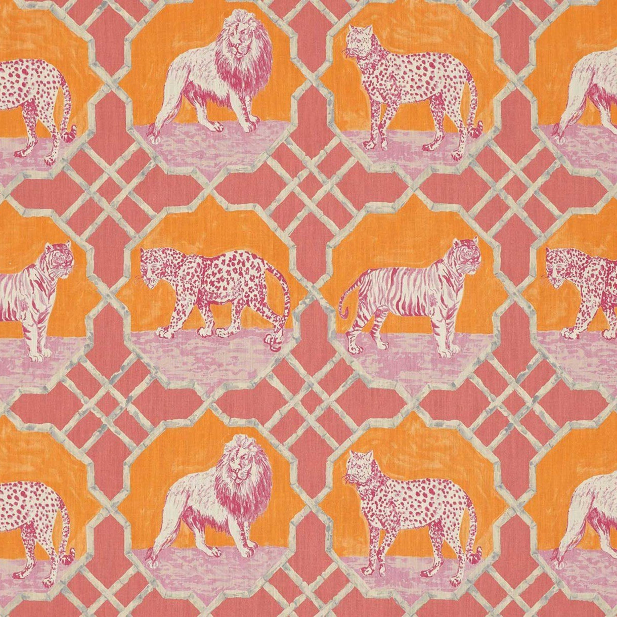 Kitty Cat - Flamingo