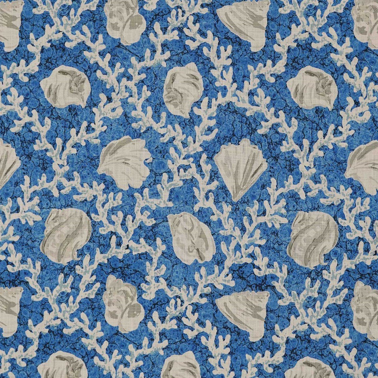 Beach Comber - Marine