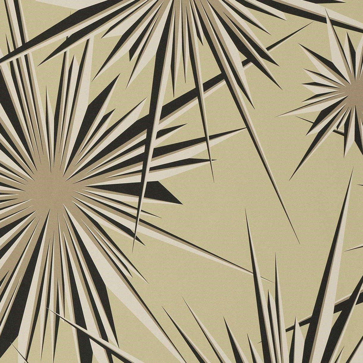 Golden Sunburst - Pearl Cream