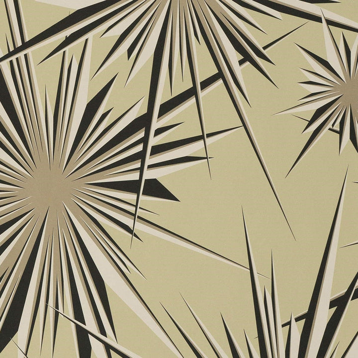 Golden Sunburst - Pearl Cream