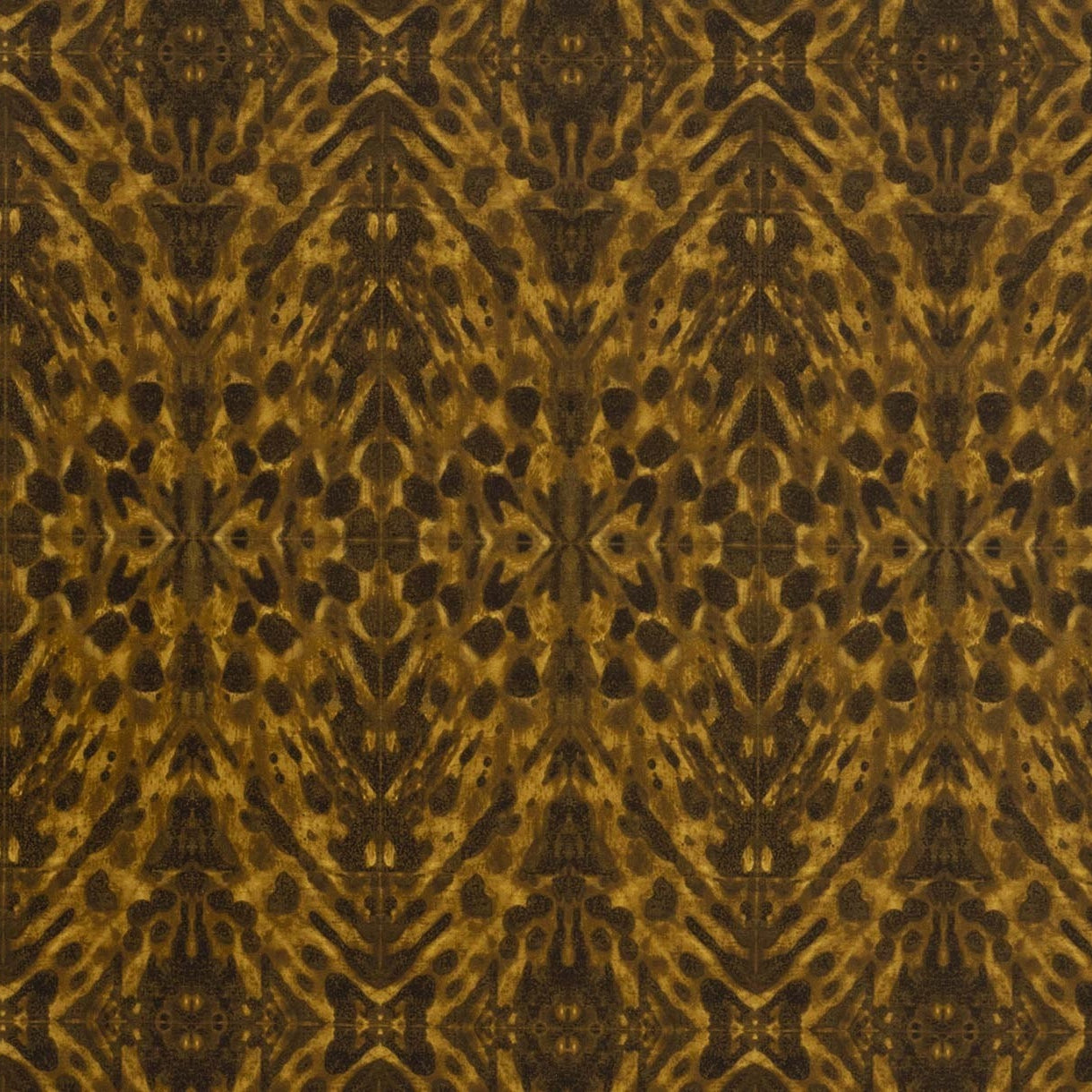 Tortoiseshell - Amber