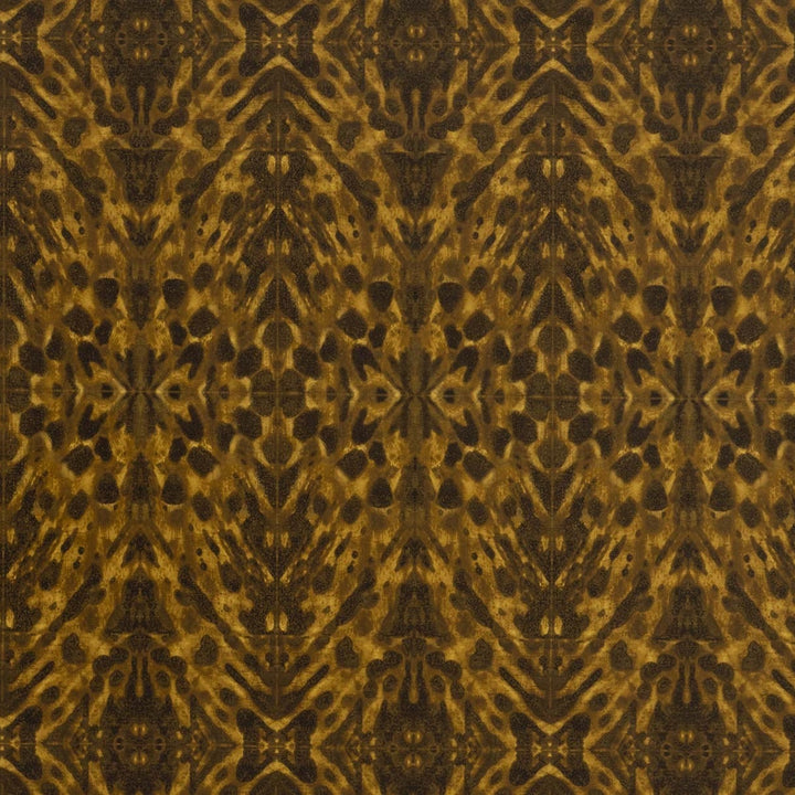 Tortoiseshell - Amber