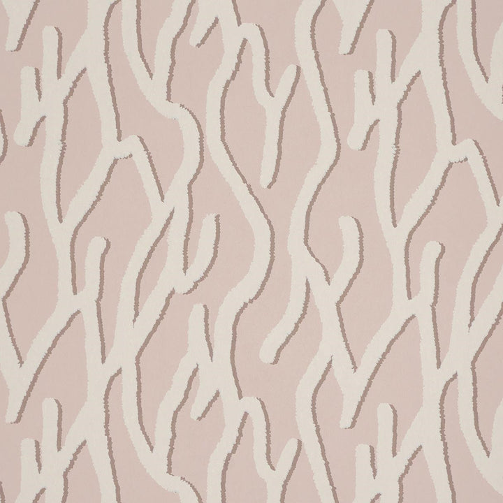 Pacific Coral - Shell Pink