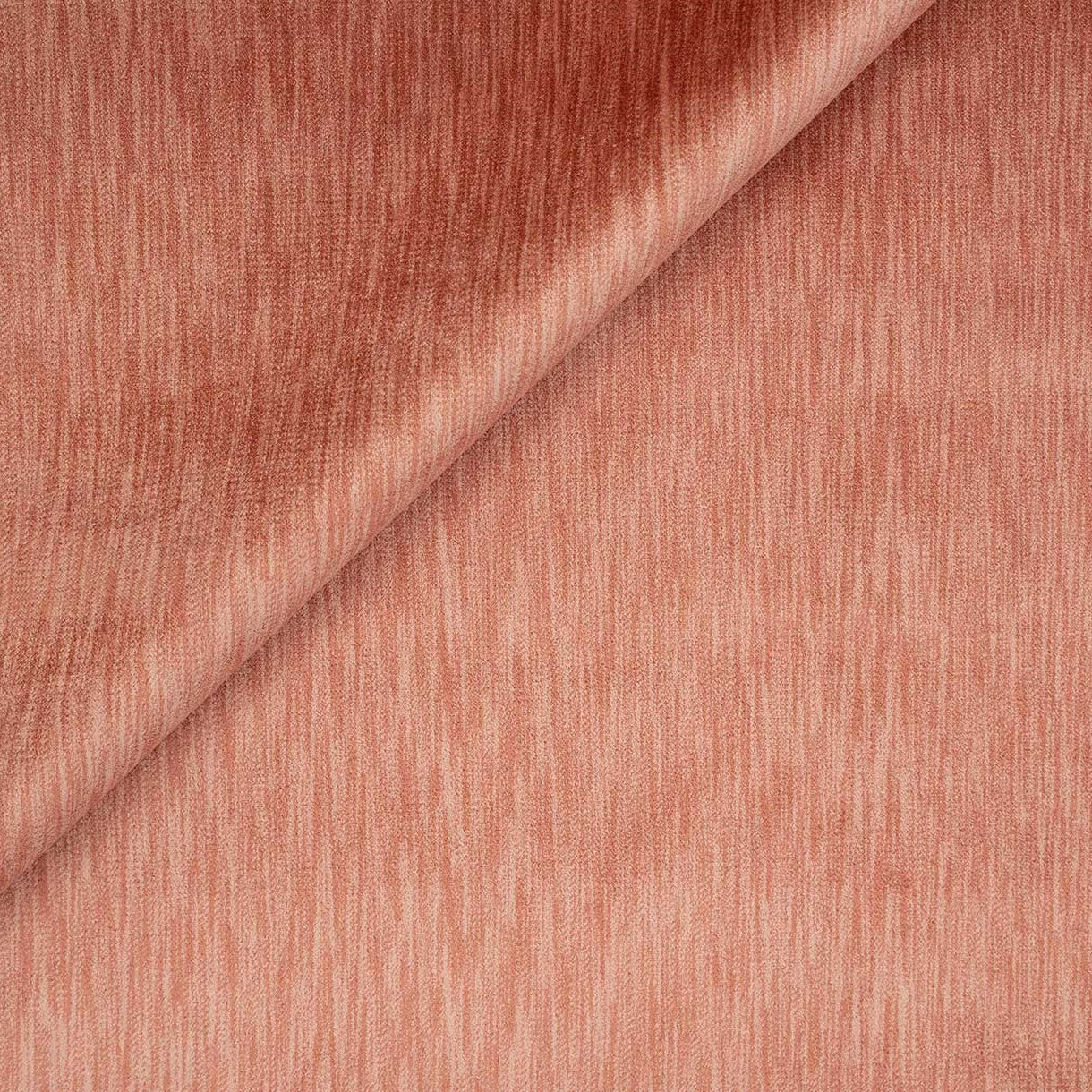 Stried Velvet - Coral Rose