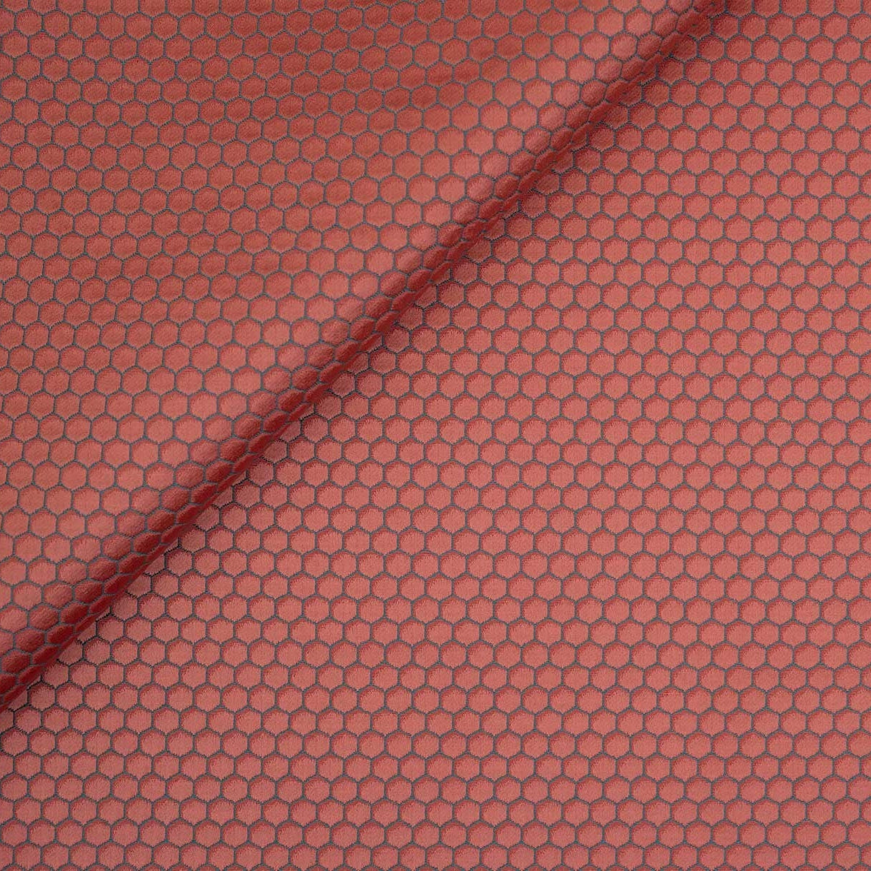 Honeycomb - Coral
