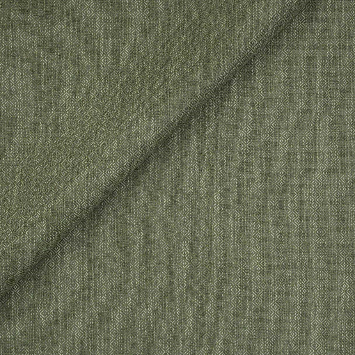 La Paz - Moss