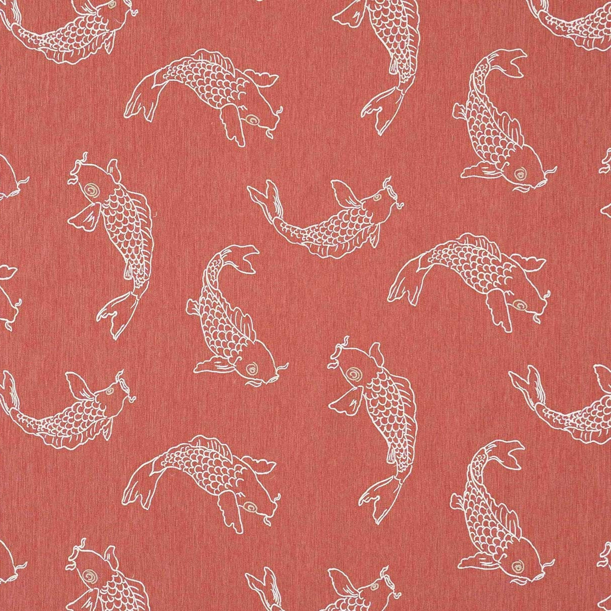 El Bagre - Rose Coral