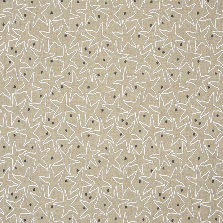 Starfish Beach - Sand