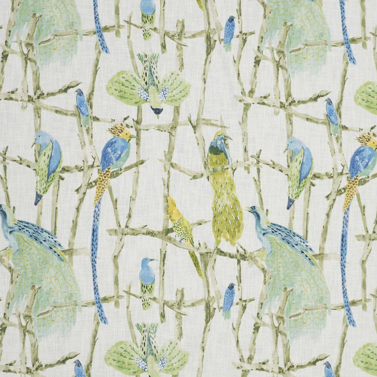 Exotic Birds - Jungle