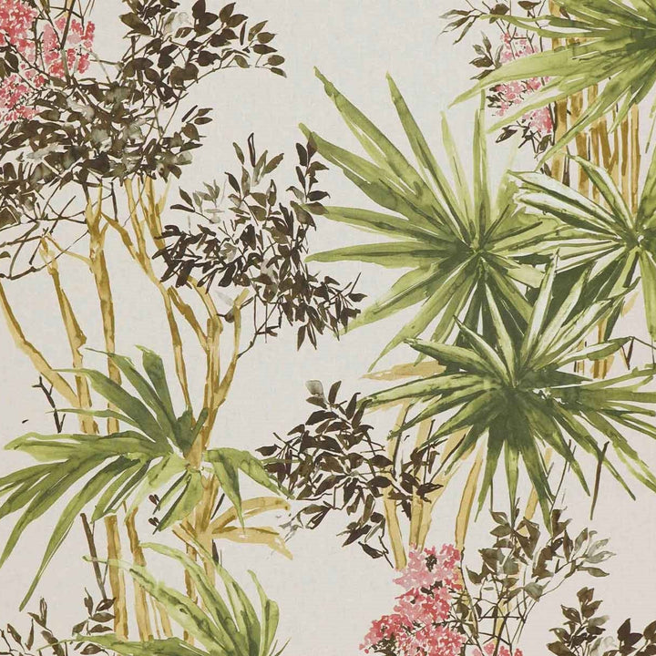 Cassia - Palm Leaf