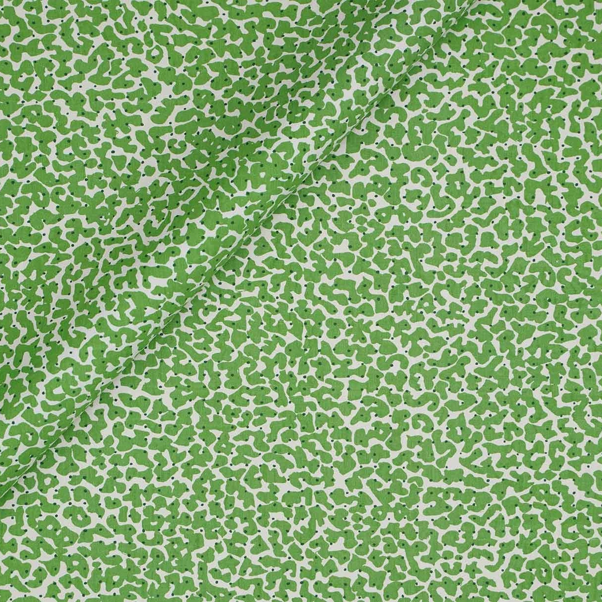 Korallo - Parrot Green