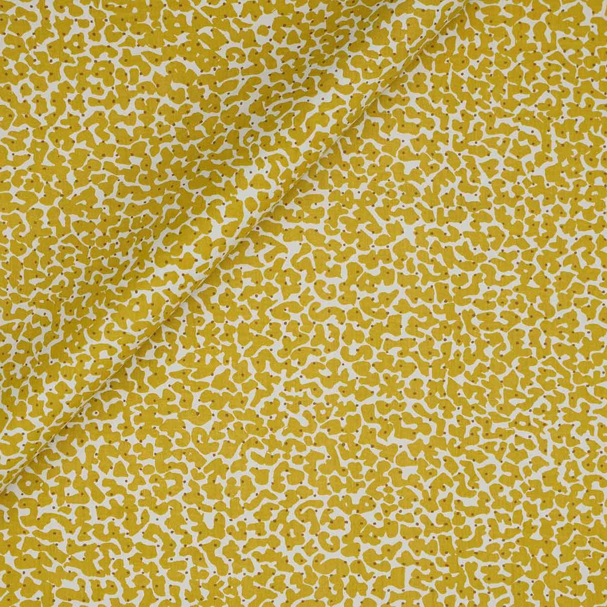 Korallo - Honey Mustard