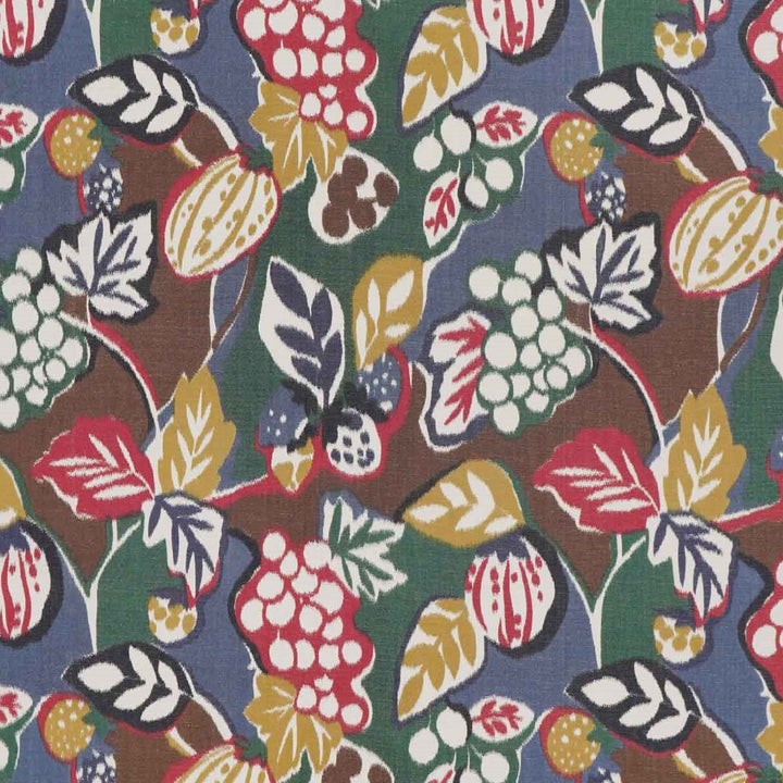 Forest Fruits - Multi