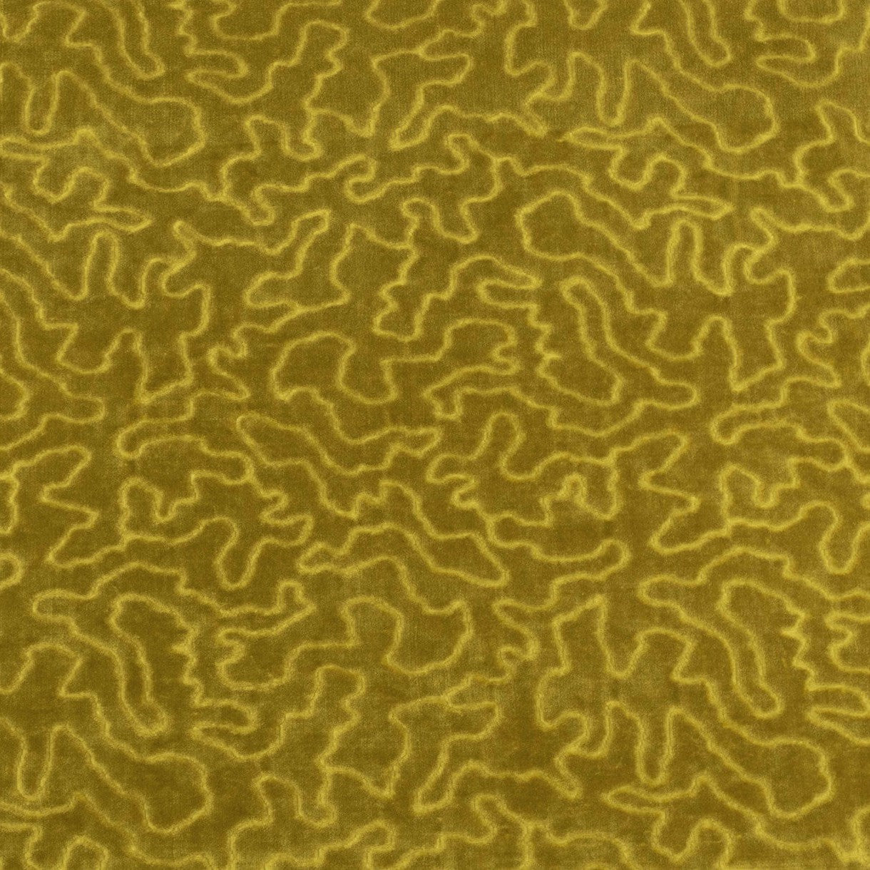 Vermicelli Velvet - Citron