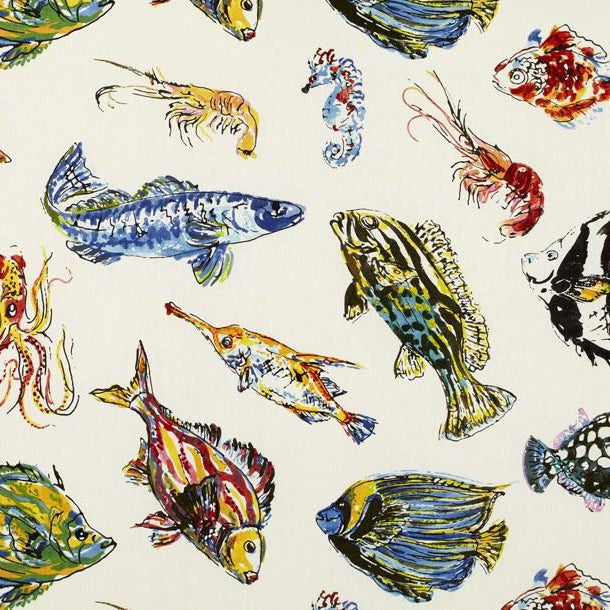 Funny Fish - Fantasy