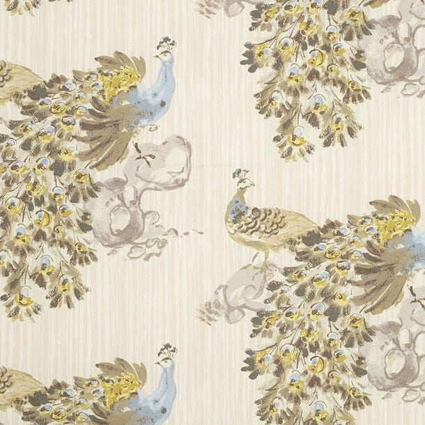 Peacock - Dazzlelight