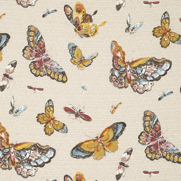 Butterfly House - Dazzlelight